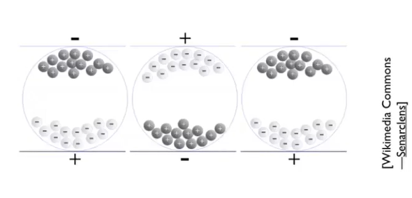 image-20210810204248926